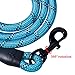 2 Packs 5 FT Strong Rope Dog Leash with Comfortable Padded Handle and Highly Reflective Threads for Small Medium Large Dogs