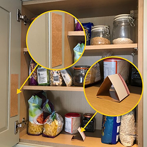 West Bay Retail | Pantry Moth Killer KIT - Natural Moth Killer Kit by MothPrevention - 2-3 Room Treatment