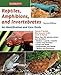 Reptiles, Amphibians, and Invertebrates: An Identification and Care Guide by R.D. Bartlett, Patricia Bartlett