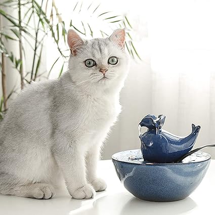 Fontaine à Eau Pour Chat Et Petits Chien Animaux De