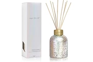 Capri Blue Reed Diffuser - Reed Diffuser Set Includes Scented Oil, Sticks, and Mercury Iridescent Glass Bottle - Home Decor Room Fresheners - Havana Vanilla (5.7 fl oz)