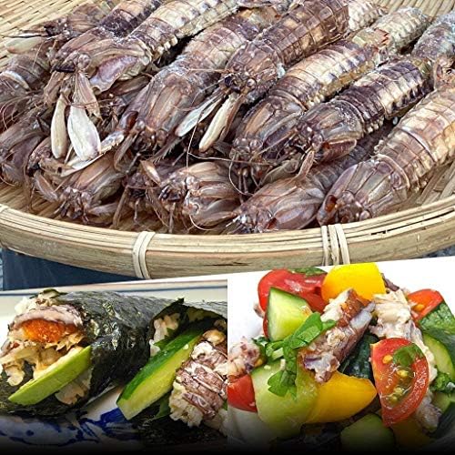 小樽前浜産特大春シャコ しゃこ16匹セット