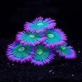 ZtohPyo Glowing Effect Soft Anemone Aquarium Fish Tank Decorations Silicone Glow in The Dark Artificial Ornament Plants for Aquarium Landscape Small/Large Fish Bowl Decor Accessories