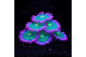ZtohPyo Glowing Effect Soft Anemone Aquarium Fish Tank Decorations Silicone Glow in The Dark Artificial Ornament Plants for Aquarium Landscape Small/Large Fish Bowl Decor Accessories