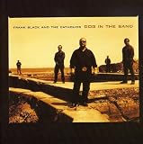 DOG IN THE SAND (UK)                               image