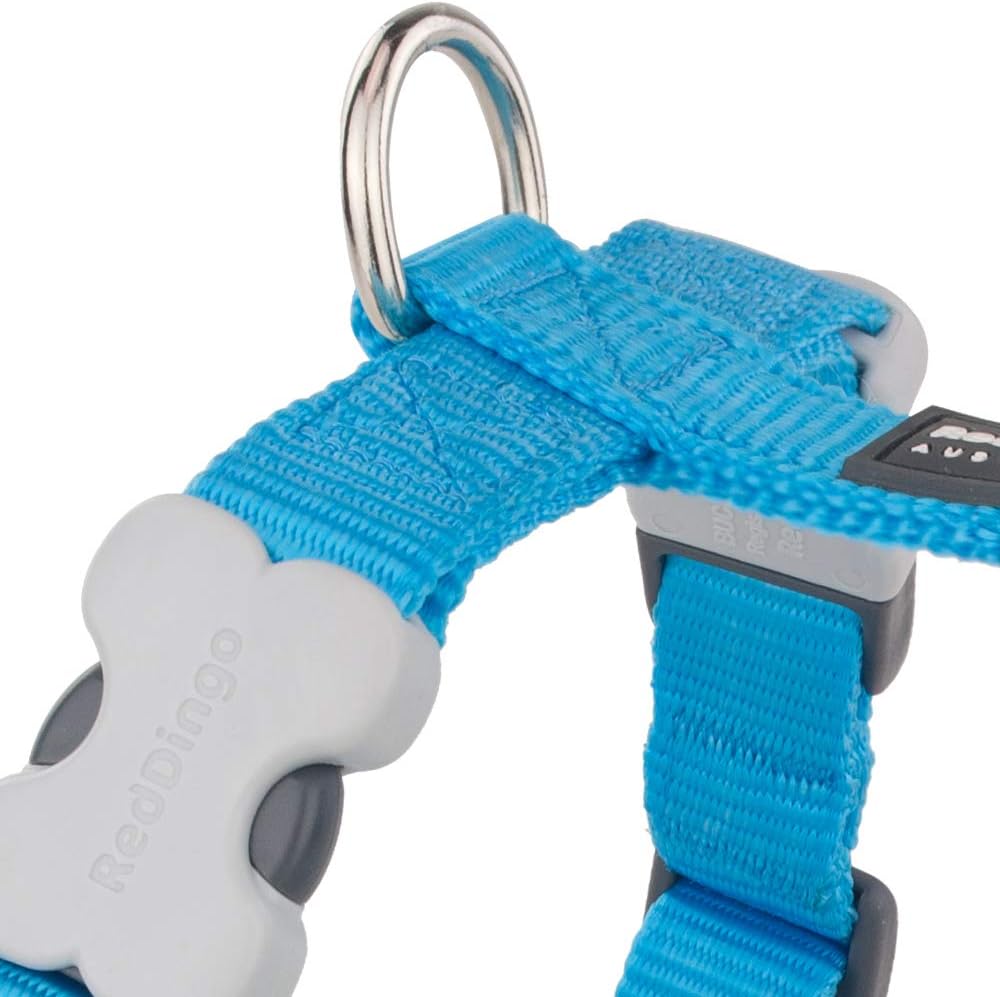 Red Dingo Classic Dog Harness Plain, Turquoise, Large 25mm - Image 3