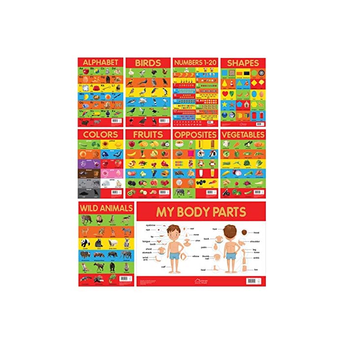 Buy Early Learning Educational Charts For Kids - Pack of Ten Charts ...