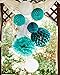 Furuix Big Size White Teal Grey Gold 10inch 8inch Tissue Paper Pom Pom Paper Lanterns Mixed Package for Teal Themed Party Wedding, Bridal Shower Decor Teal Blue Baby Shower Teal Wedding Decoration
