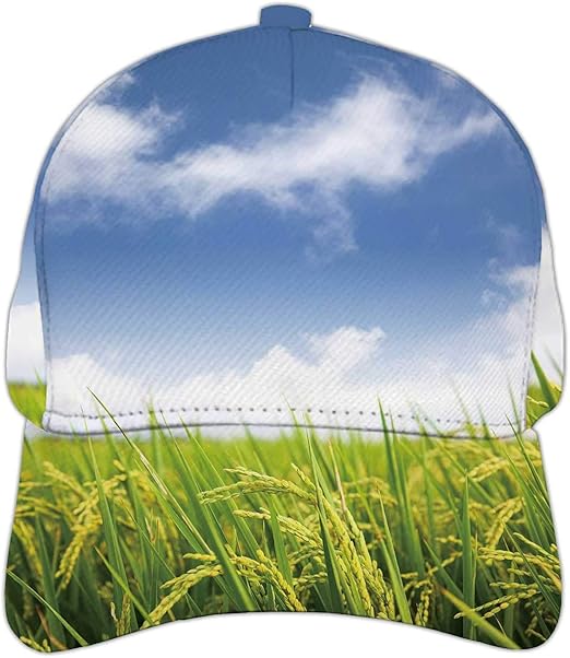 rice field hat