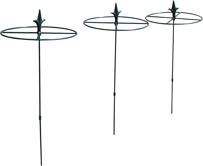 Selections Grow Through Circular Metal Plant Supports 80cm x 30cm (Set