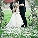 GTIDEA 2000 Pcs Artificial Flowers Silk Rose Petals Wholesale Home Party Ceremony Wedding Decoration White