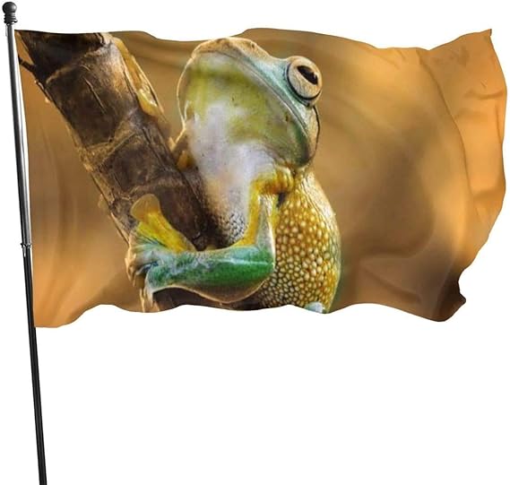 N/A Bandera de la Guardia Americana, Banderas de jardín, Rana Escalada