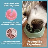 CAISHOW Slow Feeder Dog Bowl for Small Medium Dogs Non-Slip 9.25x8.85x1.96 in view 3