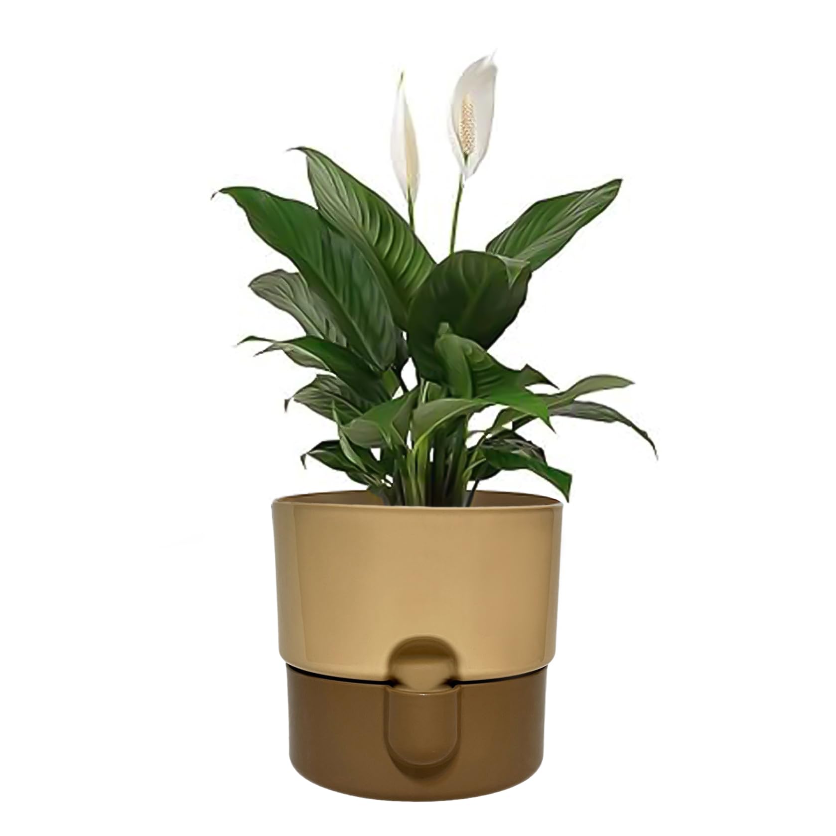 Sutars 16CM Self-Watering Indoor Plant Pots - Plastic Flower Planter for Plants (Brown)