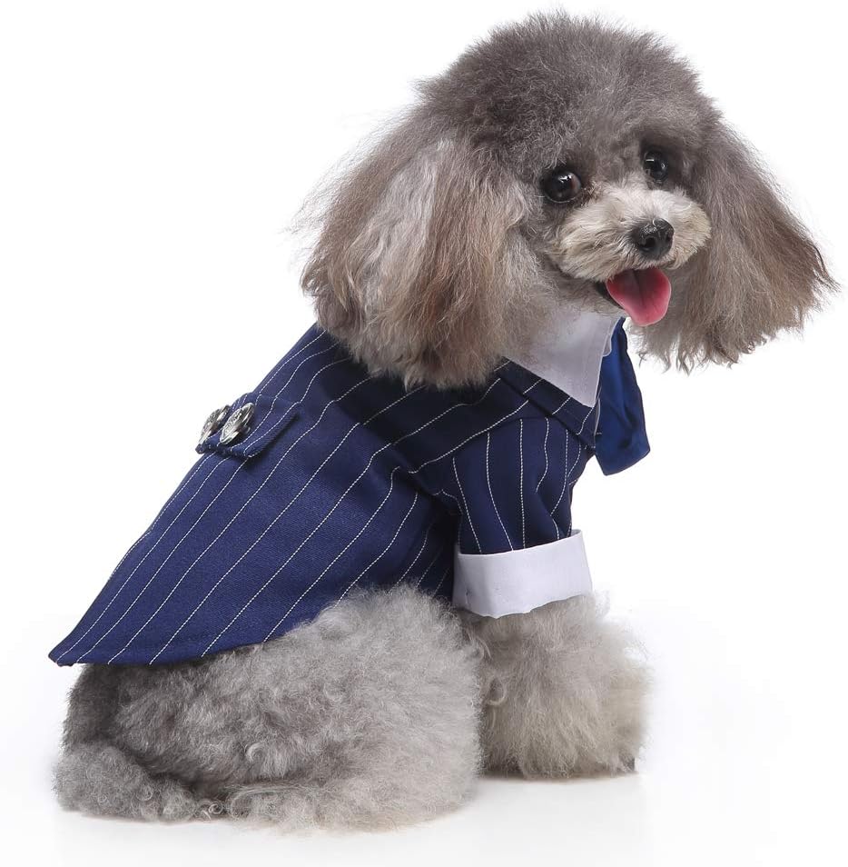 Amazon 犬服猫服 人気 ストライプの小さいスーツタキシード スーツ 紳士 コスプレ ペット用 結婚式 お祝い 記念 パーティー 制服 小型犬 中型犬 ウエディング ドレス ペット スーツ Tamiava コスチューム 通販