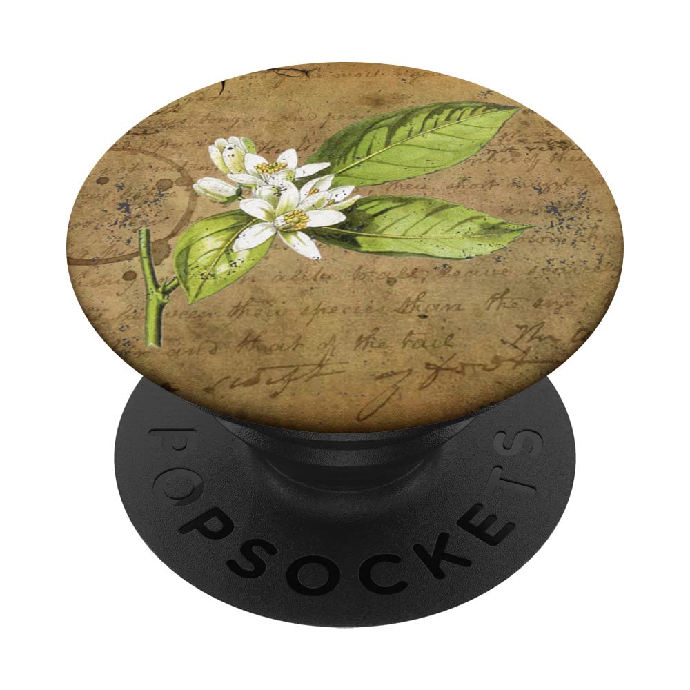 Vintage Floral Cottagecore Aesthetic White Lily Flower PopSockets Swappable PopGrip