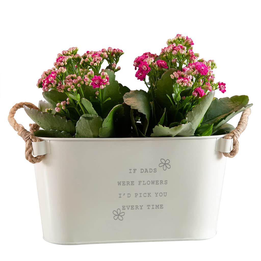 Dust and Things Engraved Flower Pot 'If Dads Were Flowers I'd Pick You' - Unique Indoor Outdoor Herb Planter - Fathers Day or Birthday Gift for Dad From Daughter Son - Small