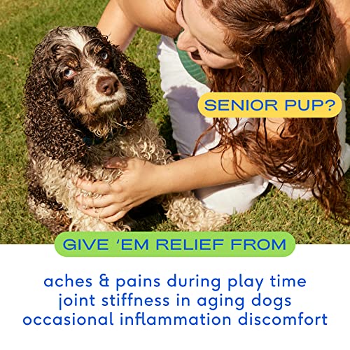 Native Pet Relief Anti Inflammatory for Dogs Turmeric + Polyphenols