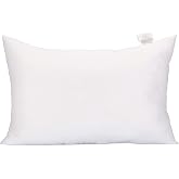 Acanva Fluffy Pillow Insert for Bed Sleeping, Decorative Stuffer Cushion Sham Filler, Queen 20x30 (Pack of 1), White