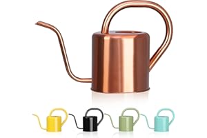 GEGEMAOYI Watering Can, Stainless Steel Watering Can for Indoor & Outdoor Plants, 1L/35oz Long Spout Water Can with Handle, Rust-Proof Plant Watering Pot for House Plants, Garden Flowers