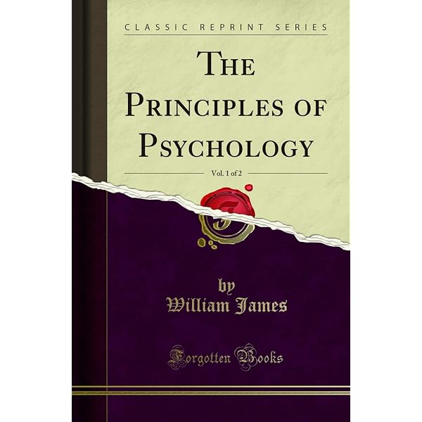The Principles Of Sociology V2 (1896): Spencer, Herbert