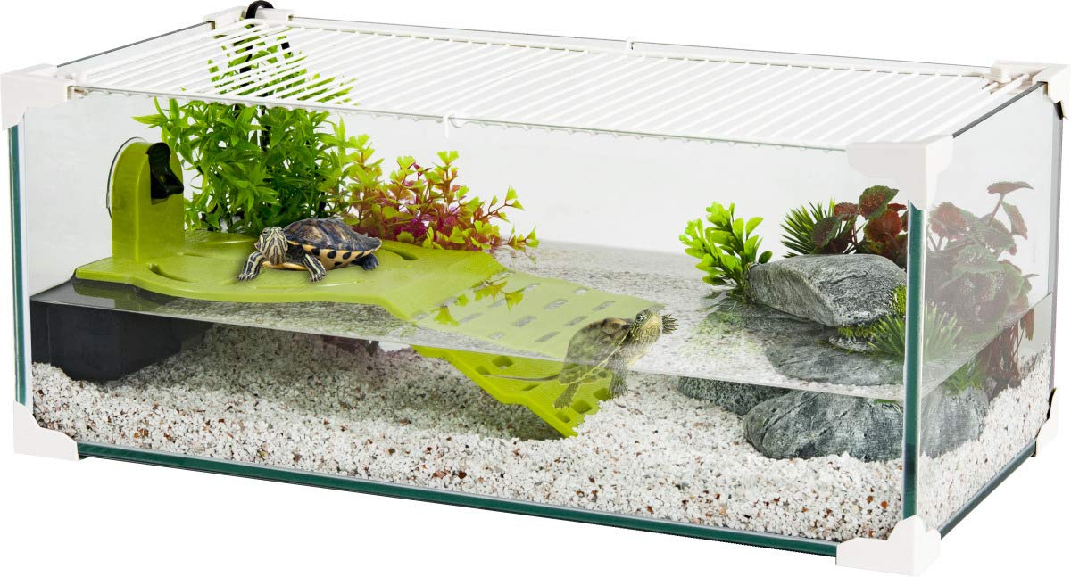 buy turtle aquarium