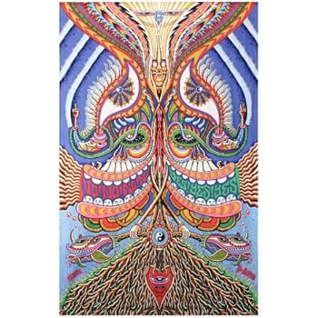 Sunshine Joy 3D Yes Yes Yes No No No Tapestry Hanging Wall Art Beach Wrap - Artwork By Chris Dyer - Amazing 3-D Effects (60X90 inches)