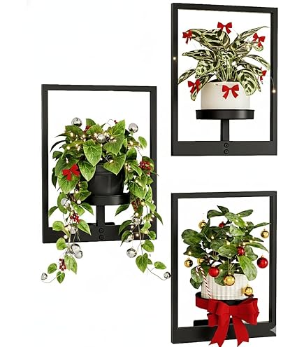 Support Mural Pour Pots De Fleurs Lot De 2 - Porte-Plantes Lourdes Métal Noir Pour Jardin Et Intérieur