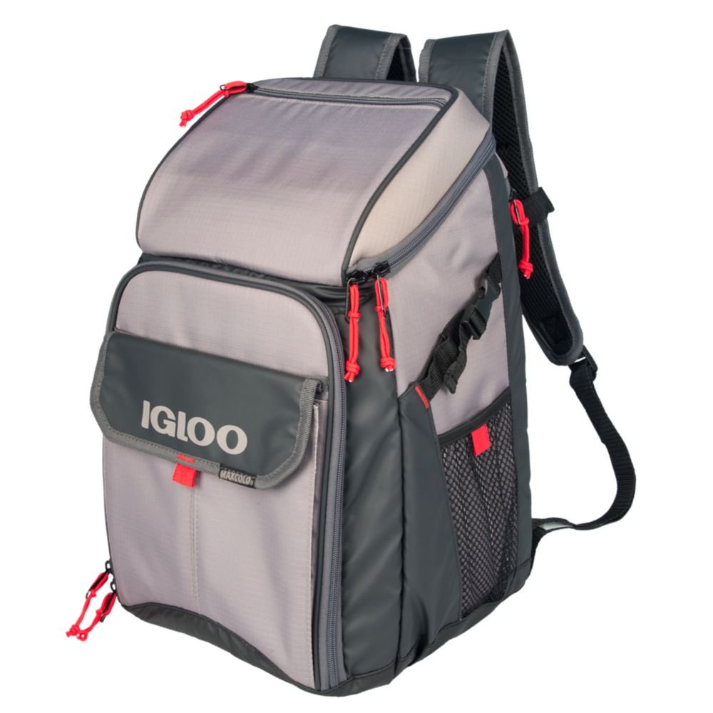 igloo insulated cooler bag