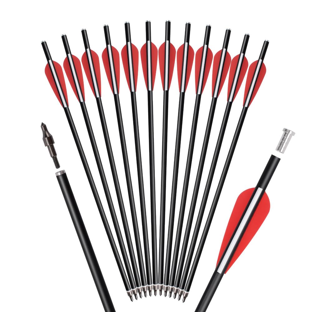Crossbow Bolts Arrows Fiberglass 12 Inch Hunting Archery Outdoor Arrow with Replaced 100 Grain Tips Flat Nocks (Pack of 12)