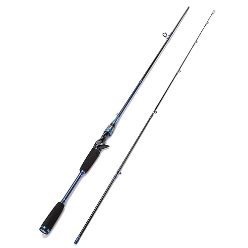 The Best Kingfish Rod in 2020 Outdoor Gear World!