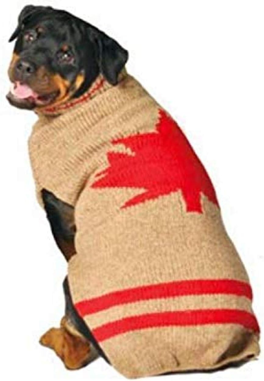 maple leafs dog sweater