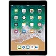 Apple iPad Pro Tablet (256GB, Wi-Fi, 9.7in) Gray (Renewed)