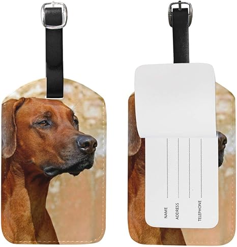 unique rhodesian ridgeback names