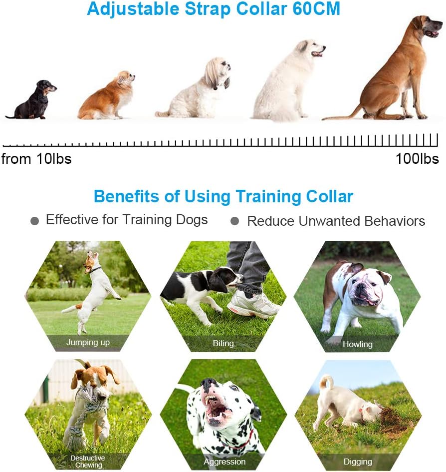 vinsic dog training collar