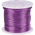 BENECREAT 12 Gauge Aluminum Wire 100FT Anodized Jewelry Halloween Craft Making Beading Floral Colored Aluminum Craft Wire - Purple