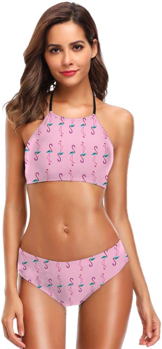 Summer Flamingo Pink Pattern Women's Chic Beach Bikini 2 Piece Halter Neck High Waist Swimsuit