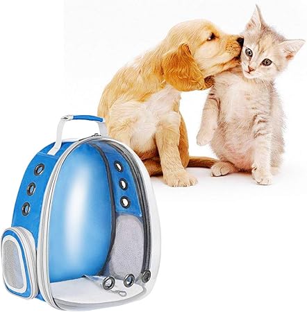 cat bubble backpack amazon