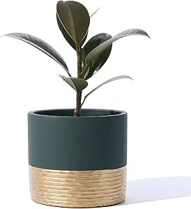 POTEY 055902 Cement Planter Pot - 5 Inch Indoor Concrete Planters Bonsai Container with Drainage Hole for Small Plants Succulent Cactus Flowers (BC Rail Dark Green+Golden, Plant NOT Included)