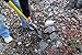 Spear Head Spade - Reinforced Fiberglass Gardening Shovel with Cushioned D Grip - Award Winning Shovel - Model SHFD3
