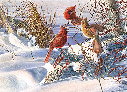 Cobble Hill Birds of a Feather Jigsaw Puzzle, 1000-Piece