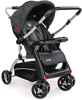 Froggy Buggy RANGER S4-2 Kinderwagen Kinderbuggy umklappbarer Schiebegriff Ein-Knopf Falttechnik Gepolsterter 5-Punkt Sicherheitsgurt SPACEGRAY