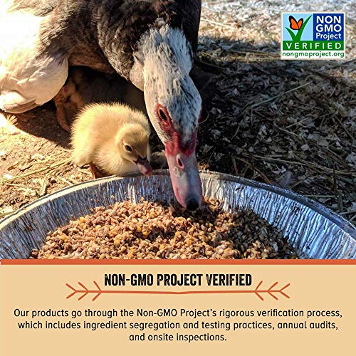 3 Scratch+Peck+Feeds+Organic+Verified