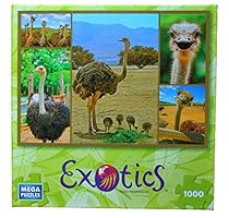 Ostrich 1000 Piece Exotics Mega Puzzle
