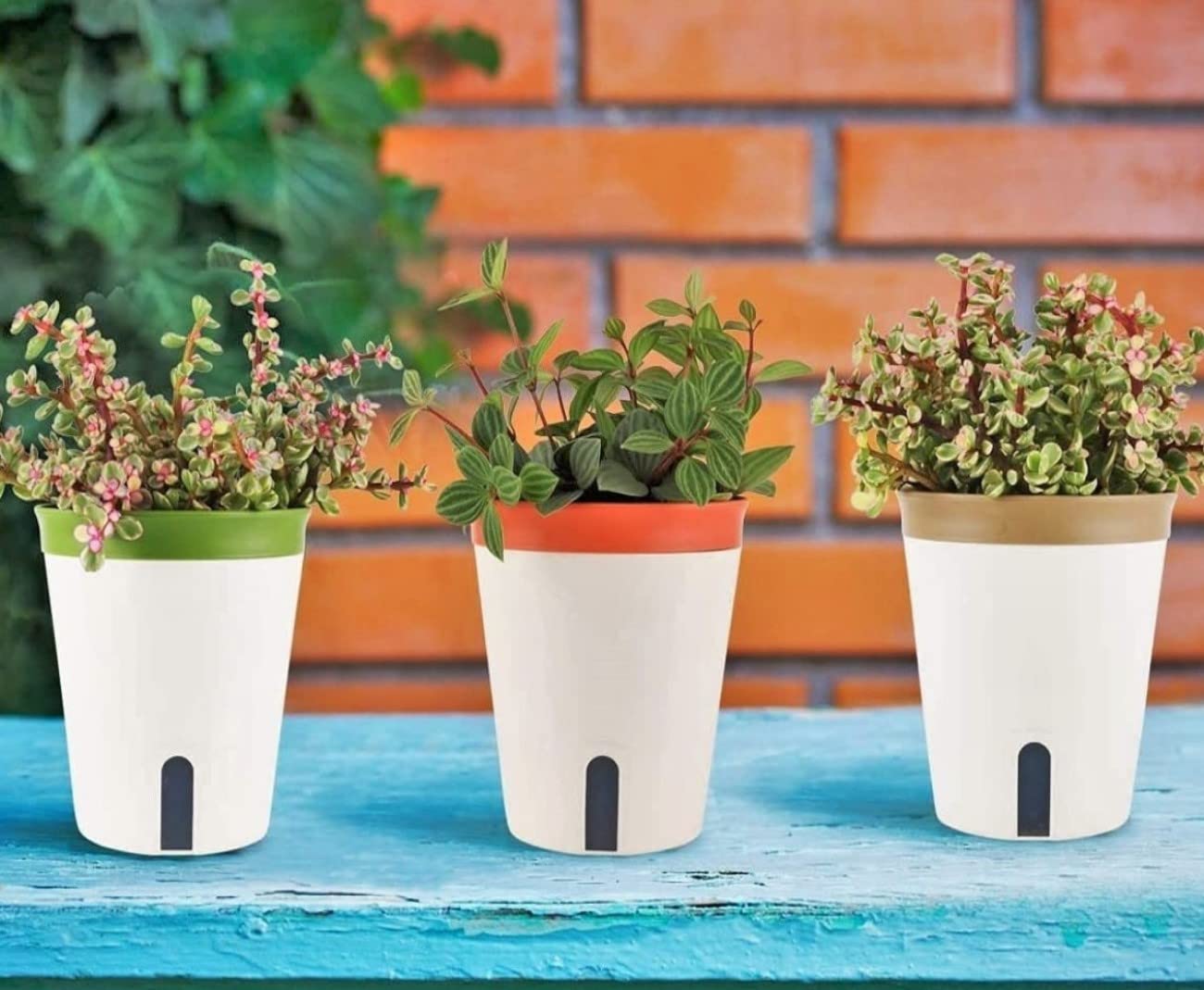 LATERN 3Pcs Self Watering Planter Pot, 16.5CM Round Plastic Plant Pot Garden Flower Bonsai Pots for Aloe Herb Orchid Succulent Plants - with Water Level Window and Drainage Hole Hidden Tray