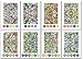 Chameleon Art Products, Chameleon Color Cards, 8 Designs - Mirror Images