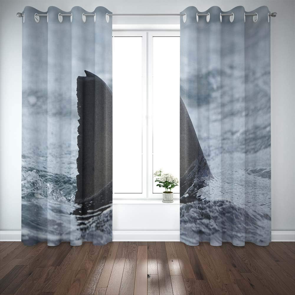 Shorping 52X84 Inch 3D Window Curtains, Privacy Window Curtain Great White Shark South Africa Carcharias Window Blackout Curtains for Bedroom,2 Pc