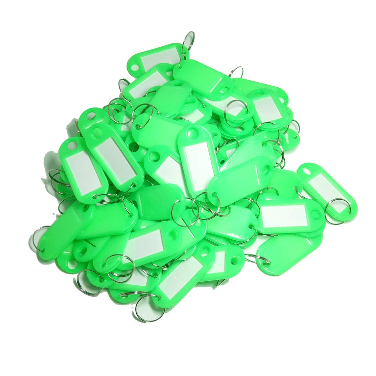 TOOLSTAR Key Labels, 100PCS Key ID Tags Key Labels Tags Plastic Key Tags, Tags with Key Rings as Key Fobs Luggage Pet Name Memory Stick Tags (Green)