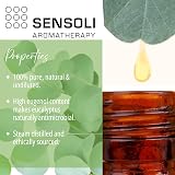 Sensoli Eucalyptus Essential Oil 10ml 100% Pure Eucalyptus Globulus Amber view 3