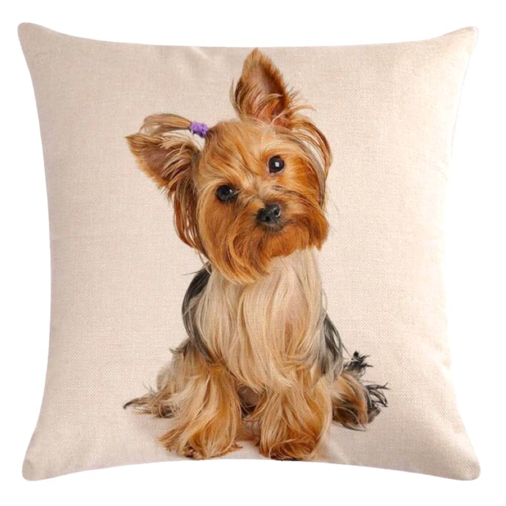 The Beach Stop Decorative Yorkshire Terrier Dog Scatter Cushion Cover | Home Decor Inspo | Gift Idea for Dog Lovers | 45x45cm 18x18” | Golden Yorkie